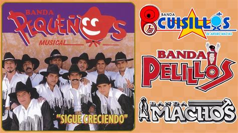 Pequeños Musical Banda Cuisillos Banda Machos y Mas Bandas