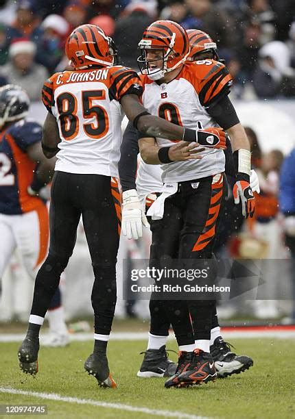 68 Chad Johnson Bengals Celebration Stock Photos, High-Res Pictures ...