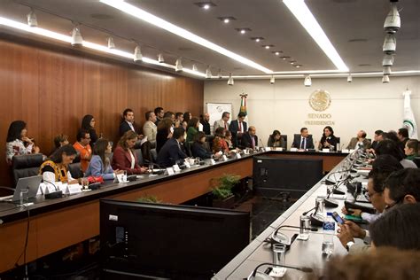 Senado Presenta Terna Para Encabezar La Cndh N