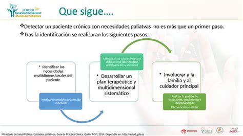 Identificacion De Necesidades Paliativas Pptx Ppt