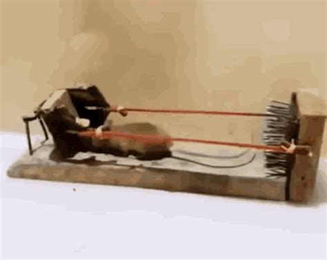 Mouse Trap GIF - Mouse Trap - Discover & Share GIFs