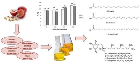 Antioxidants Free Full Text Innovative And Conventional