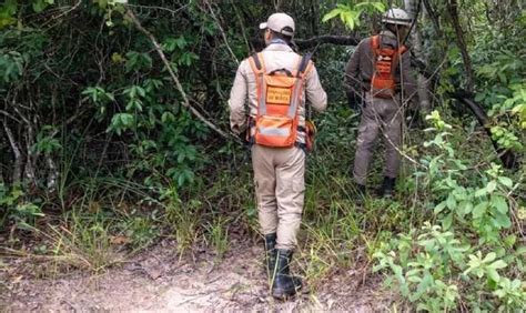 Idoso Resgatado Ap S Passar Dias Perdido Em Mata Morre No Hospital