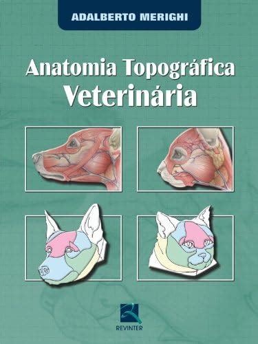 Pdf Anatomia Topografica Veterinaria Cgot Samara