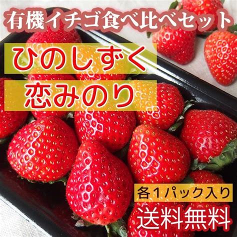 送料無料 有機イチゴ食べ比べセット ひのしずく 恋みのり 各1パック入り熊本県産 10000011いちごの伊藤農園 通販