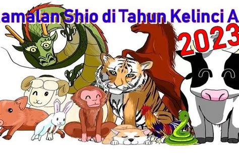 Ramalan Shio Di Tahun Kelinci Air 2023 Dari Percintaan Kesehatan