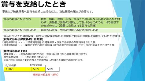 （日本年金機構）【分割版7】健康保険・厚生年金保険事務手続きガイド 手続き（賞与を支給したとき・登録していた賞与予定月に賞与の支払いがなかった