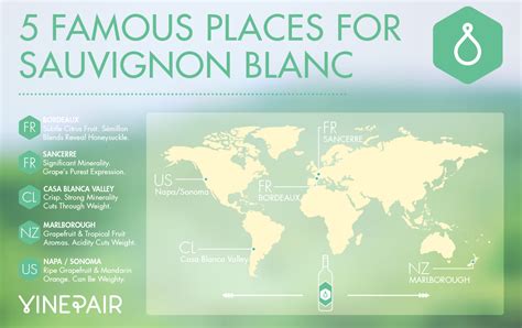 Map Famous Places For Sauvignon Blanc Sauvignon Blanc Cabernet