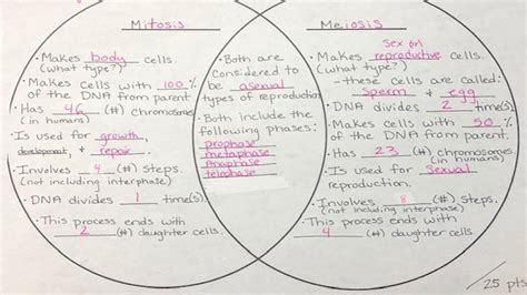 Differences And Similarities Between Diagrams In Software Engineering