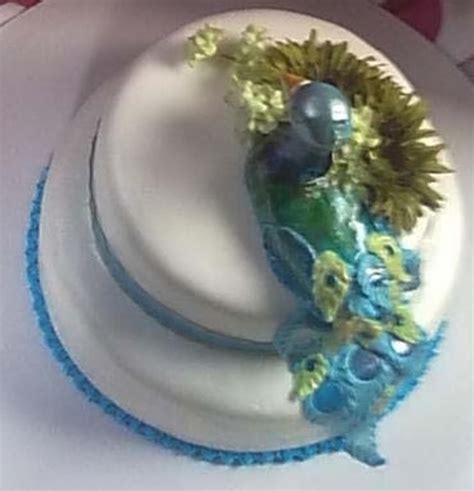 Peacock Cake Cakecentral