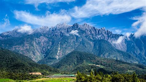 Desa Cattle Dairy Farm, Kundasang, Sabah - Huislaw.com