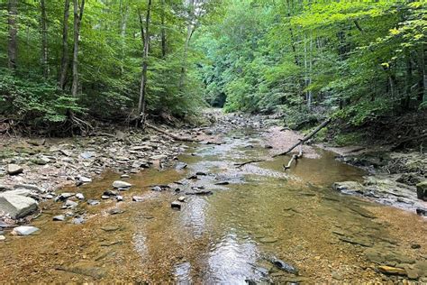 The Ultimate Guide To Scott S Run Nature Preserve Scott S Run Stream