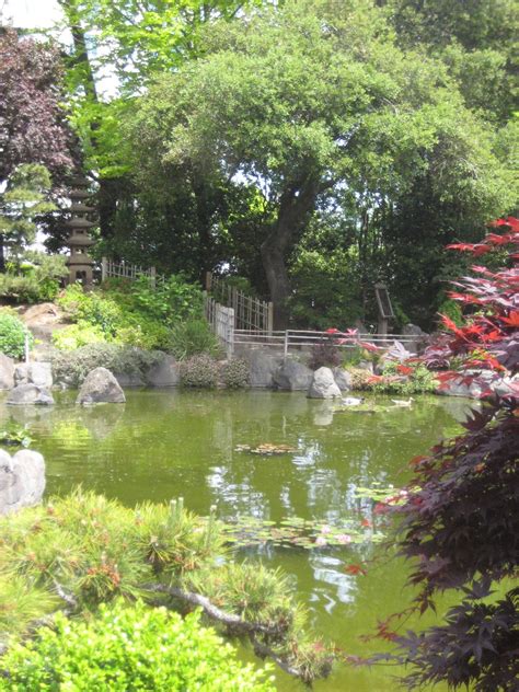 Cheryl and William: San Mateo Central Park