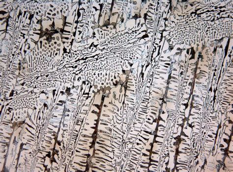 17 best Microstructure images on Pinterest | Cast iron, Iron and Irons