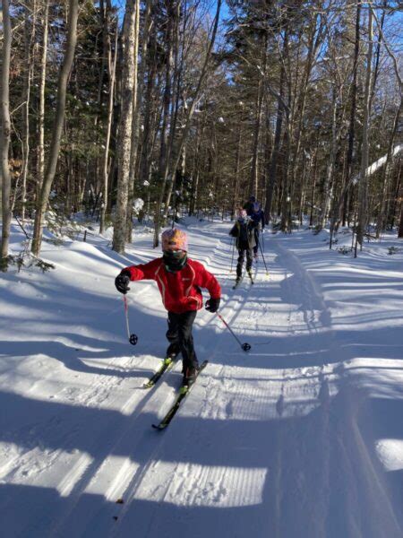 Great skiing and more snow on the way. - Wild Wings Nordic Skiing