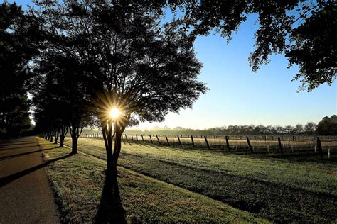 Williamsburg Winery in the morning Thursday November 5, 2020.