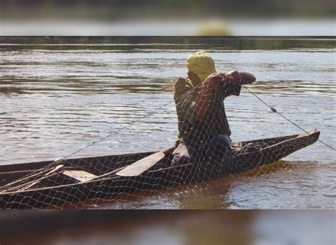 Fao Agri Ministry Host Consultation On Inland Fisheries And