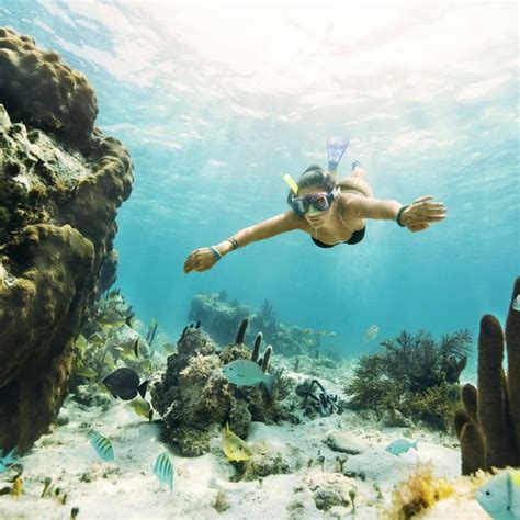 Cancún Underwater Museum Jungle Speedboat Snorkel Tour in Cancún