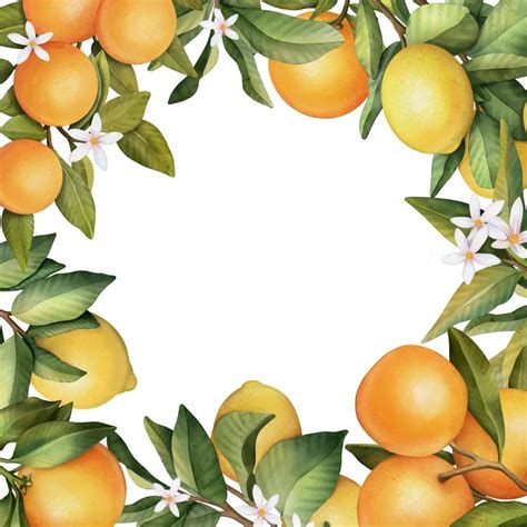 Hand Drawn Frame Of Watercolor Orange And Lemon Watercolor Illustration