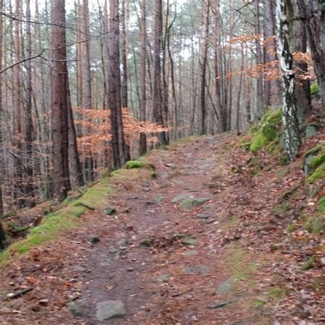 Wandern Pf Lzer Rundwanderung Mit Einkehr Hellerh Tte Tour