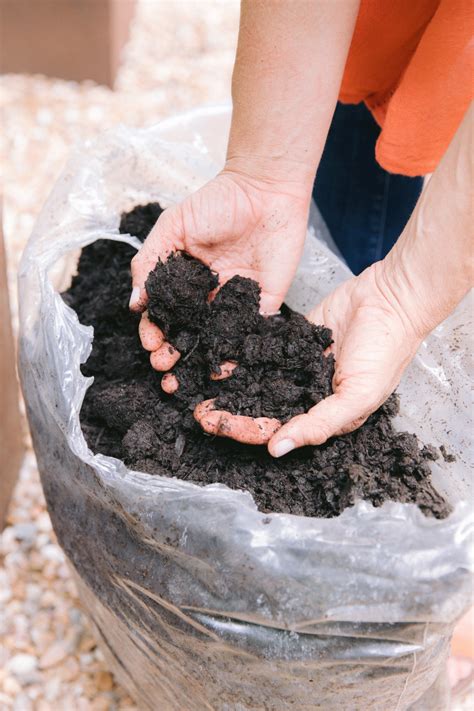 What Type Of Garden Soil Is Best For Raised Beds • Gardenary