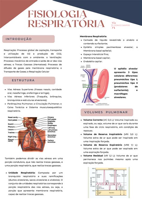 Fisiologia Respiratoria Fisiologia Respirat Ria V O L U M E S P U L M