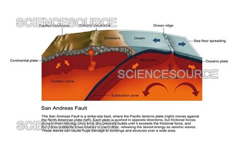 Photograph | San Andreas Fault, Diagram | Science Source Images