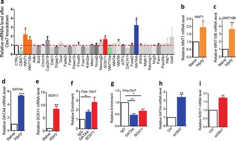 Cbx Targets Sox And Gata For Controlling Axon Regeneration In Adult