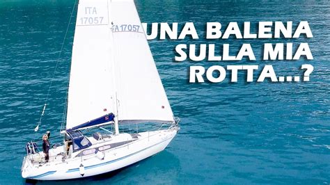 Da Imperia Ad Alassio Una Balena Sulla Mia Rotta Ep Youtube