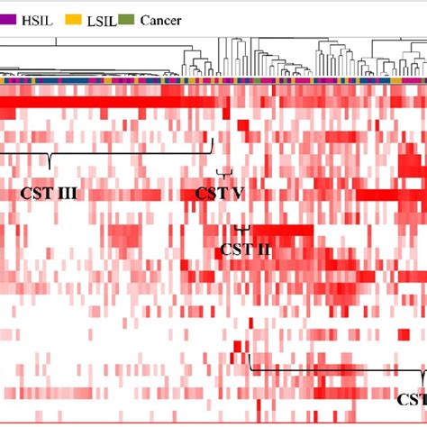 Heat Map Of The Relative Abundance Of The 29 Most Abundant Bacterial Download Scientific