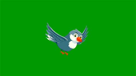 Bird Flying Green Screen Green Screen Fly Bird Cartoon Bird Green