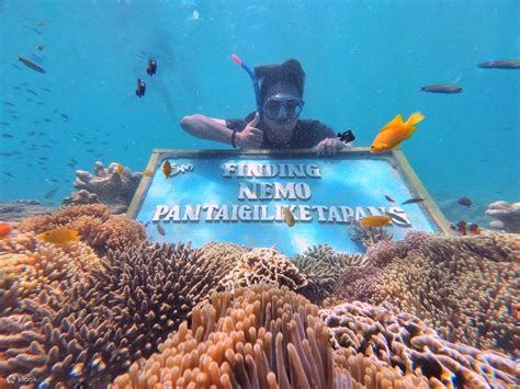 Gili Ketapang Snorkeling Tour from Surabaya, Indonesia - Klook