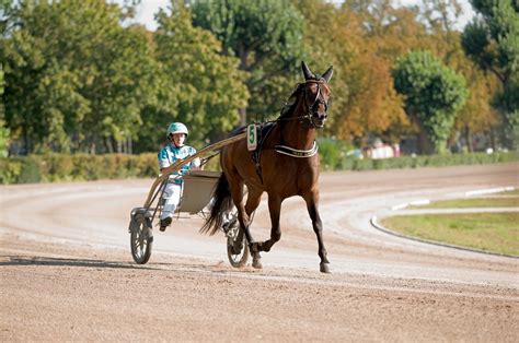 Berlin Trabrennbahn Mariendorf Lion Greenwood Flickr