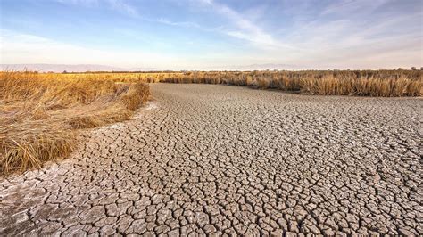 Californians Explain Why They Oppose Drought Restrictions The Onion