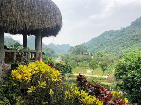 Parc Ornithologique De Thung Nham Centre Touristique De Ninh Binh