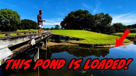 Sneaking Into Golf Course Fishing Ponds Will We Get Kicked Out Youtube