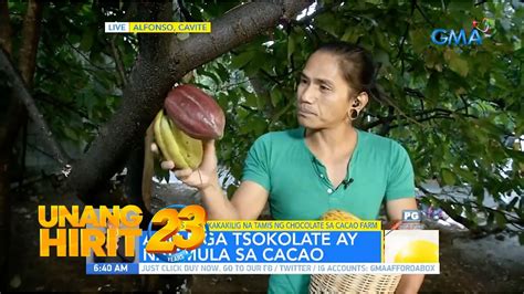 Tamis Ng Chocolate Sa Cacao Farm Sa Alfonso Cavite With Chef Jr Royol