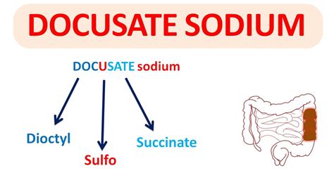 Can Dogs Take Docusate Sodium