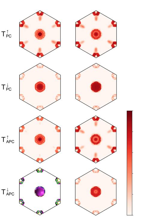 Spin And K Resolved Transmission Spectra At Equilibrium States In