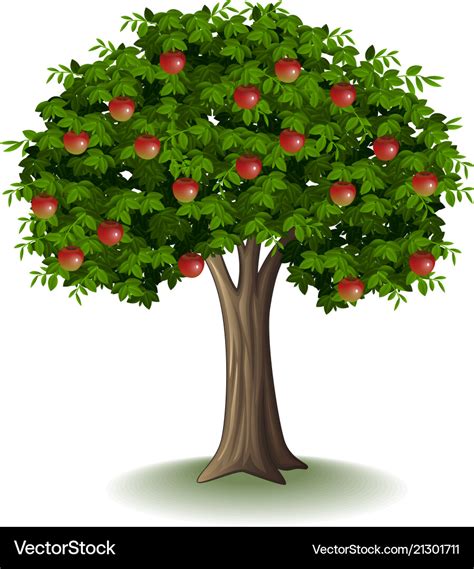 Red Apple On Apple Tree Royalty Free Vector Image