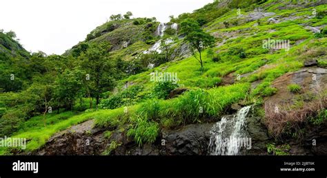 Beautiful water falls in Western ghats hills Stock Photo - Alamy