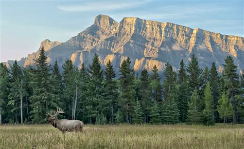 The Best National Parks in Canada