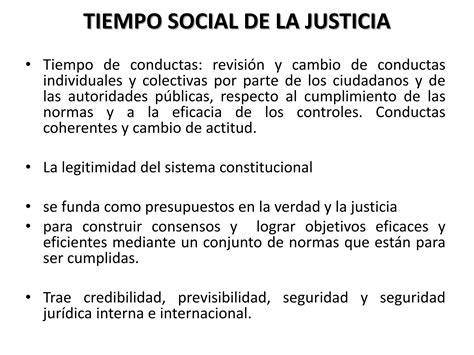 Principios Constitucionales PPT