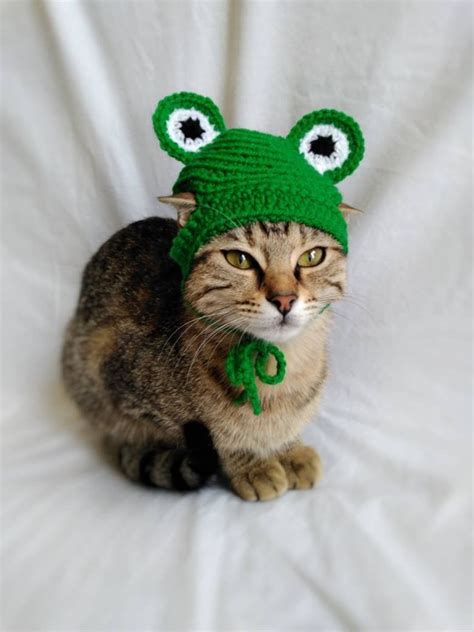 Frog Hat For Cat Frog Pet Costume Kitten Outfit Cat Accessories