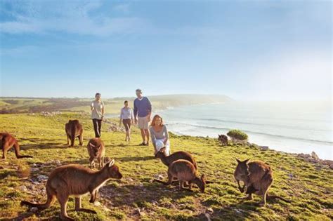 What To Do On Kangaroo Island