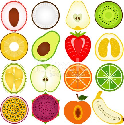 Vector Illustration Of Fruits Cut In Half Stock Photo | Royalty-Free ...