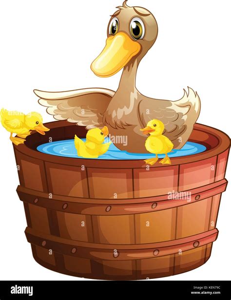 Brown And White Feathered Duck Stock Vector Images Alamy