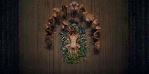 MIDSOMMAR NUDE SCENES AZNude