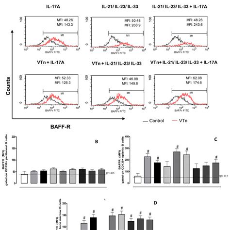 ASC From Splenic And Bone Marrow CD19 Positive B Cells Express High