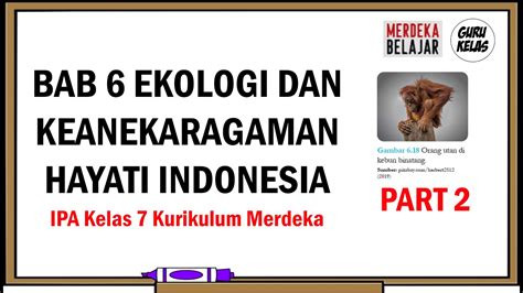 Bab 6 Ekologi Dan Keanekaragaman Hayati Indonesia Part 2 Ipa Kelas 7 Kurikulum Merdeka Youtube